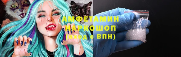 сатива Белокуриха