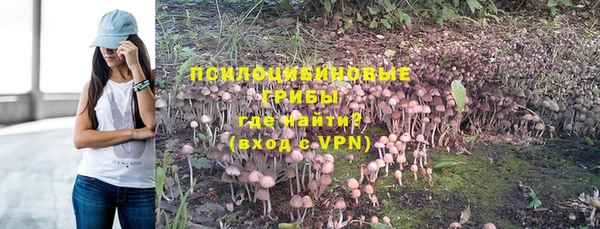 шишки Беломорск
