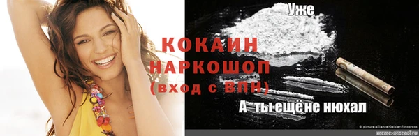шишки Беломорск