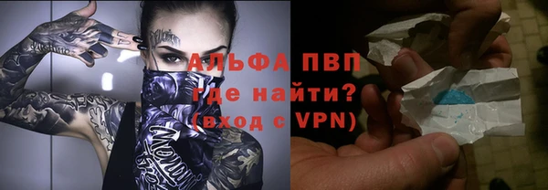 сатива Белокуриха