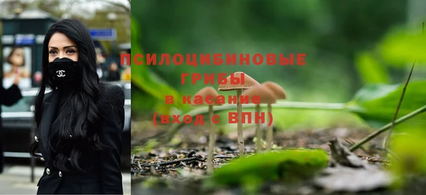 сатива Белокуриха
