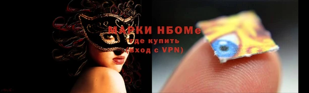 сатива Белокуриха