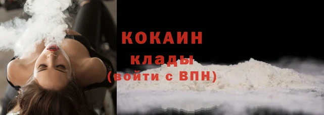 шишки Беломорск
