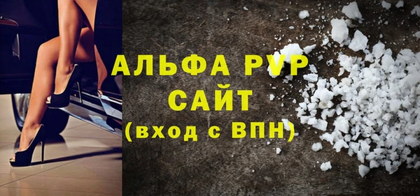 сатива Белокуриха