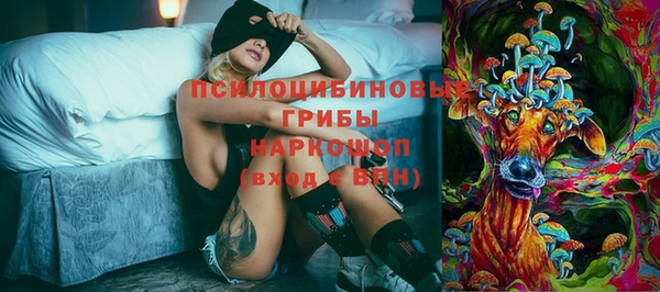 сатива Белокуриха