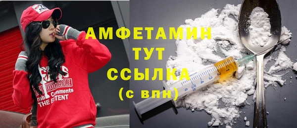 шишки Беломорск